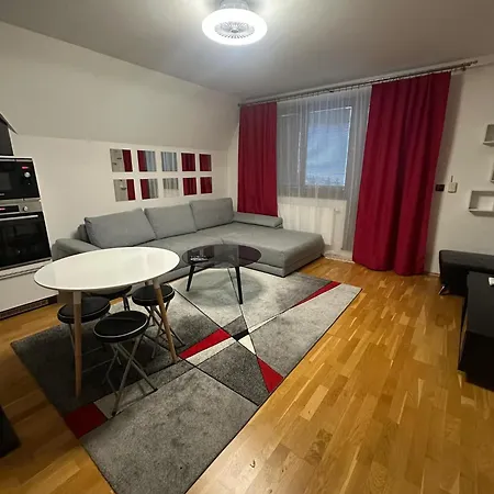 Vivi * Wielka Łomnica